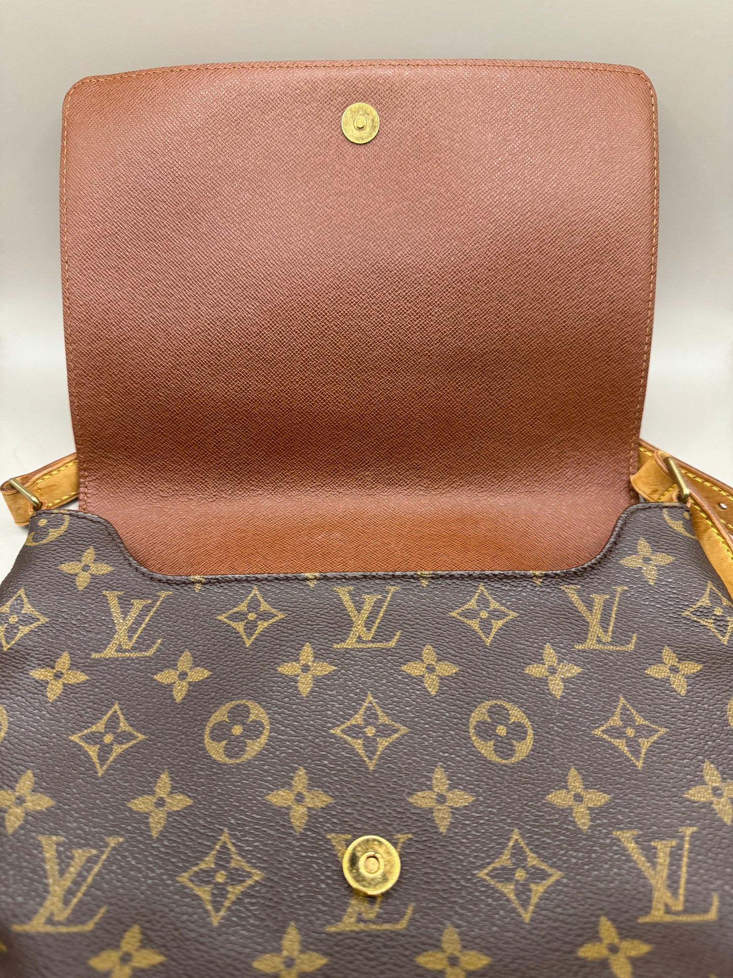 Louis Vuitton Musette Tango Bag